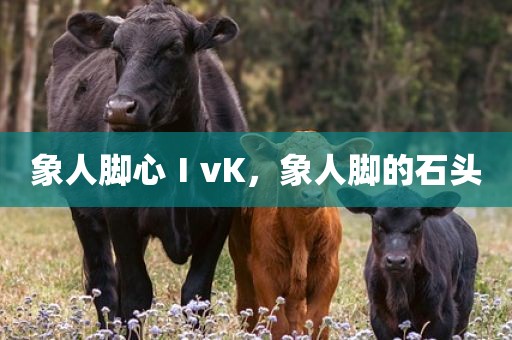象人脚心ⅠvK，象人脚的石头