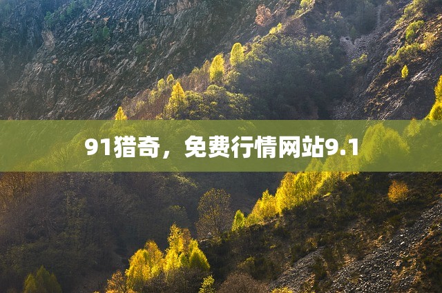 91猎奇，免费行情网站9.1