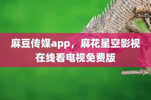 麻豆传媒app，麻花星空影视在线看电视免费版