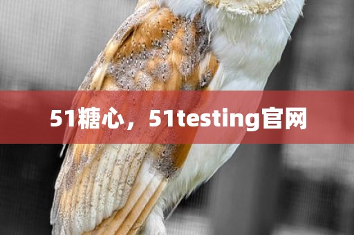 51糖心，51testing官网