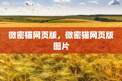 微密猫网页版，微密猫网页版图片