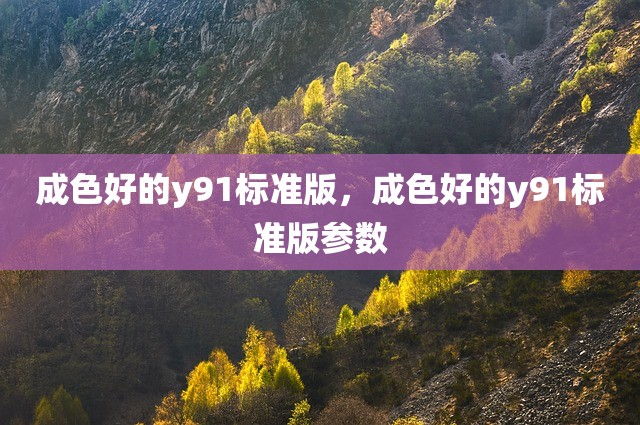 成色好的y91标准版，成色好的y91标准版参数