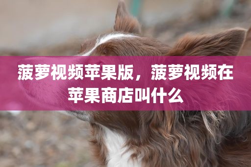 菠萝视频苹果版，菠萝视频在苹果商店叫什么