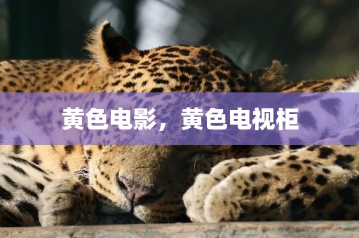 黄色电影，黄色电视柜