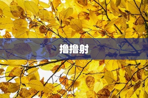 撸撸射