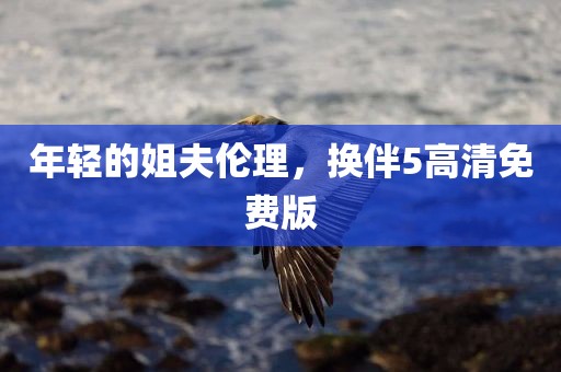 年轻的姐夫伦理，换伴5高清免费版
