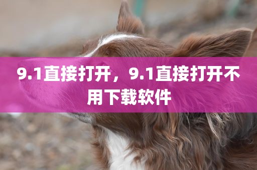 9.1直接打开，9.1直接打开不用下载软件