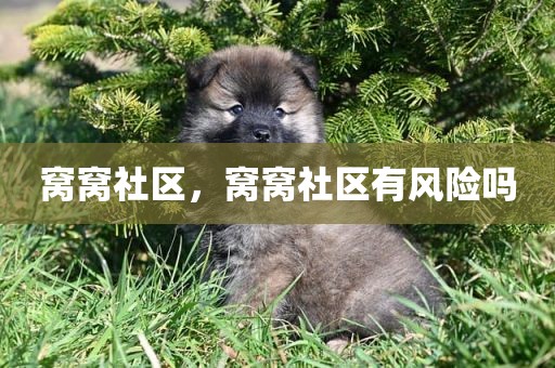 窝窝社区，窝窝社区有风险吗