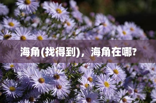 海角(找得到)，海角在哪?