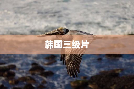 韩国三级片