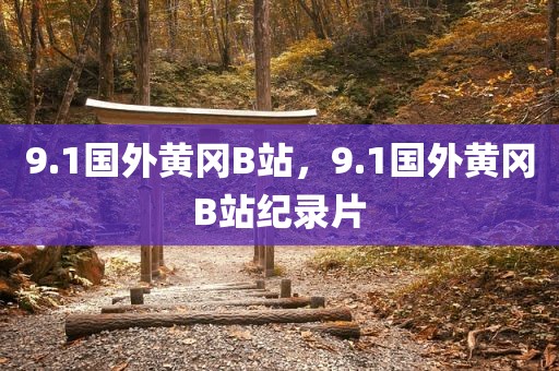 9.1国外黄冈B站，9.1国外黄冈B站纪录片