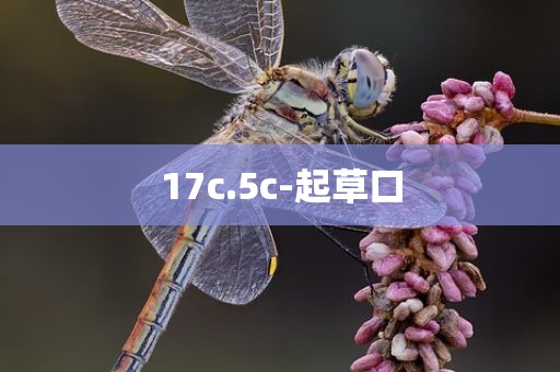 17c.5c-起草口