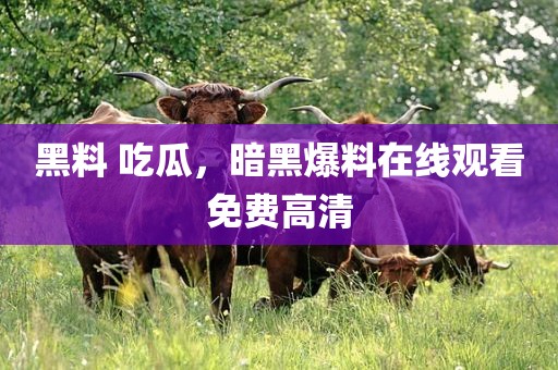 黑料 吃瓜，暗黑爆料在线观看免费高清