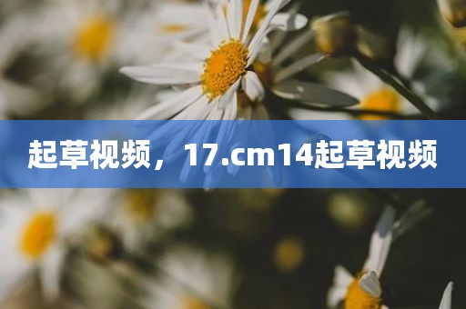 起草视频，17.cm14起草视频