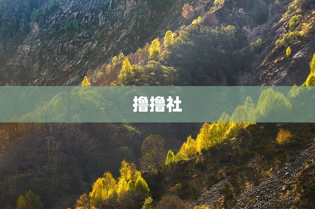 撸撸社