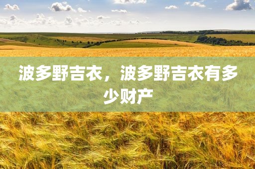 波多野吉衣，波多野吉衣有多少财产