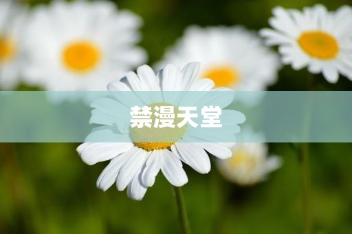 禁漫天堂