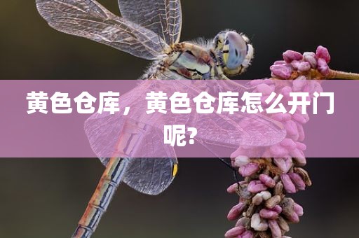 黄色仓库，黄色仓库怎么开门呢?