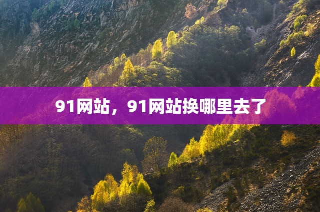 91网站，91网站换哪里去了