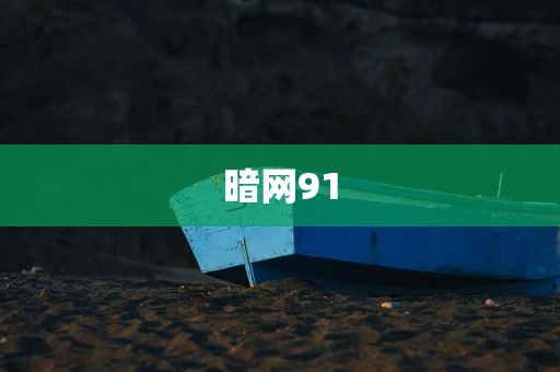 暗网91