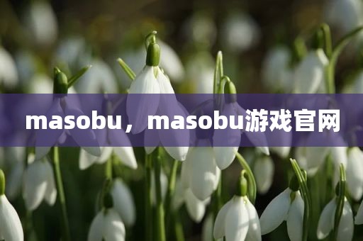 masobu，masobu游戏官网