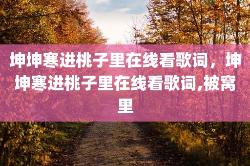 坤坤寒进桃子里在线看歌词，坤坤寒进桃子里在线看歌词,被窝里