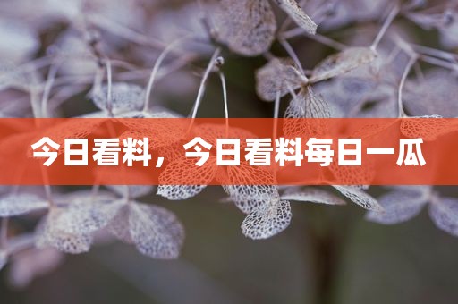 今日看料，今日看料每日一瓜