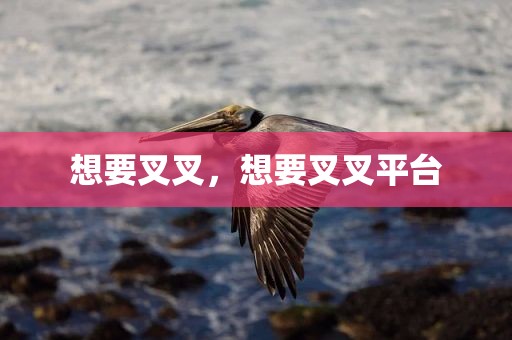 想要叉叉，想要叉叉平台