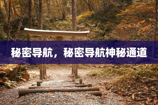 秘密导航，秘密导航神秘通道