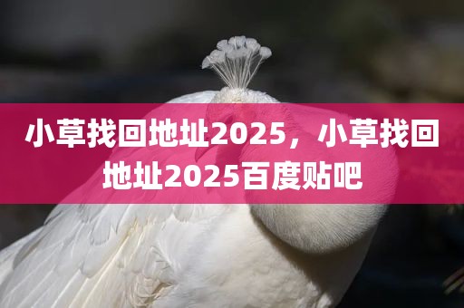 小草找回地址2025，小草找回地址2025百度贴吧