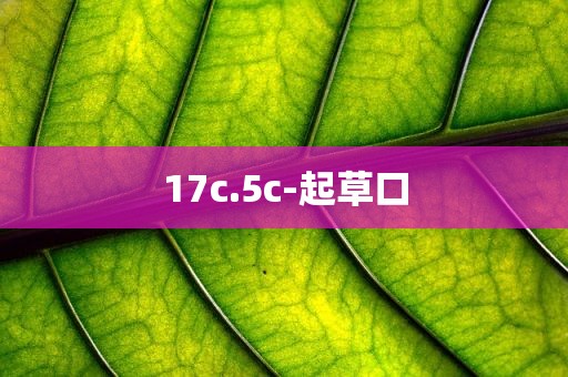 17c.5c-起草口