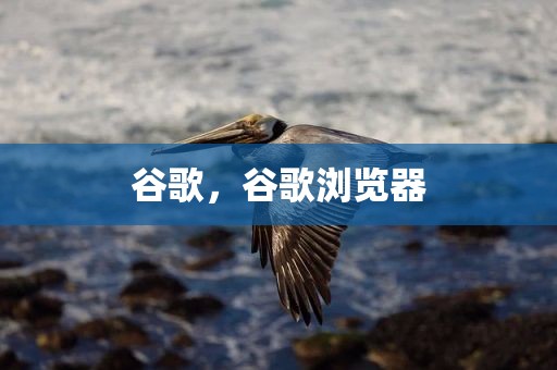 谷歌，谷歌浏览器