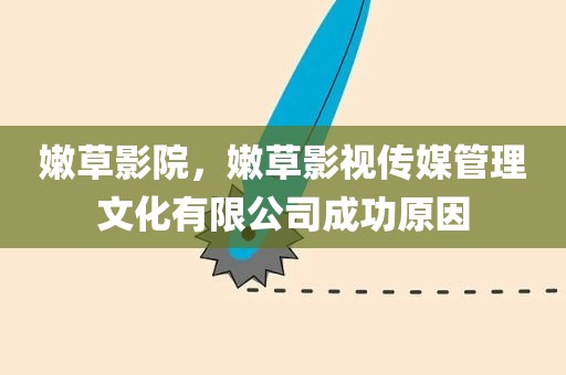 嫩草影院，嫩草影视传媒管理文化有限公司成功原因