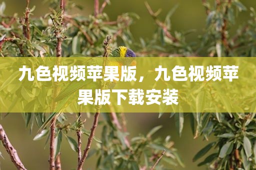 九色视频苹果版，九色视频苹果版下载安装