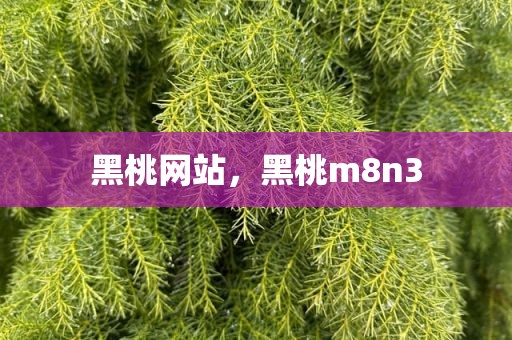 黑桃网站，黑桃m8n3