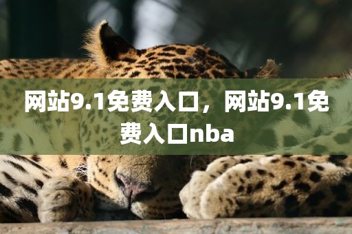 网站9.1免费入口，网站9.1免费入口nba