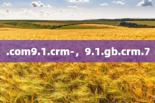 .com9.1.crm-，9.1.gb.crm.7