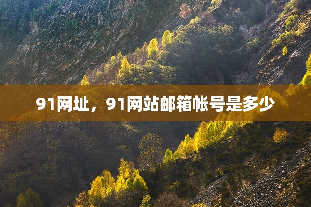 91网址，91网站邮箱帐号是多少