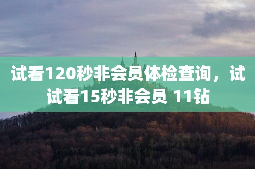 试看120秒非会员体检查询，试试看15秒非会员 11钻