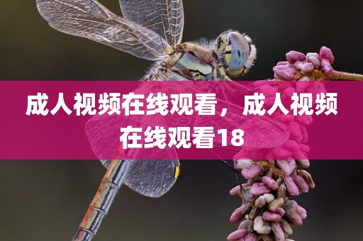 成人视频在线观看，成人视频在线观看18