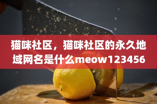 猫咪社区，猫咪社区的永久地域网名是什么meow123456