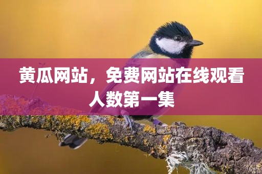 黄瓜网站，免费网站在线观看人数第一集