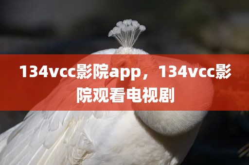 134vcc影院app，134vcc影院观看电视剧