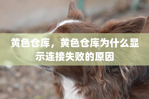 黄色仓库，黄色仓库为什么显示连接失败的原因