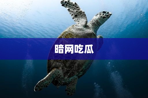 暗网吃瓜