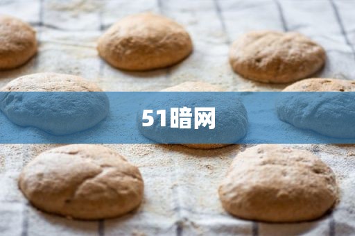 51暗网