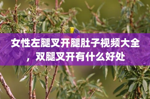 女性左腿叉开腿肚子视频大全，双腿叉开有什么好处