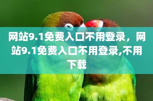 网站9.1免费入口不用登录，网站9.1免费入口不用登录,不用下载