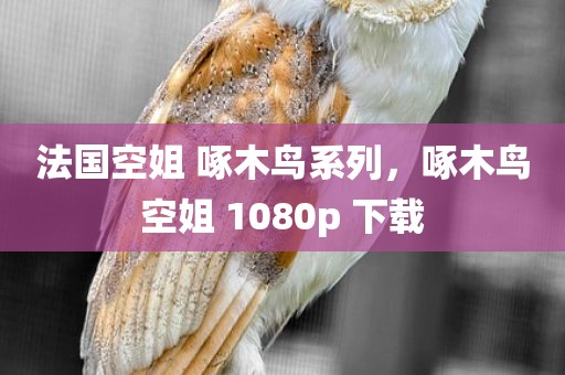 法国空姐 啄木鸟系列，啄木鸟空姐 1080p 下载