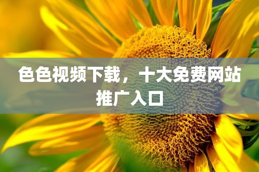 色色视频下载，十大免费网站推广入口